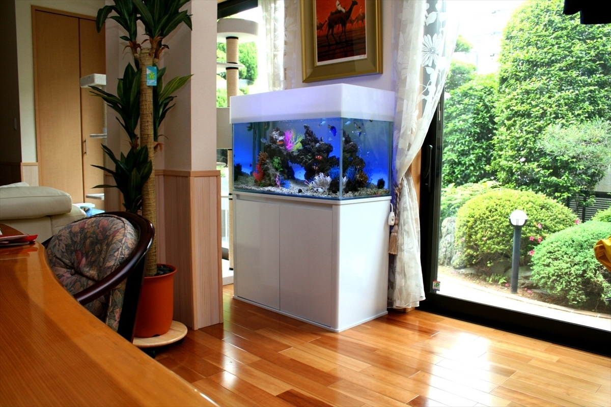 海水魚水槽　90cm