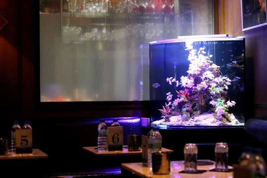 円柱水槽】360°鑑賞できるあこがれアクアリウム｜水槽レンタルサービス東京